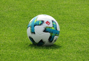 星空体育地址-沙尔克04连胜，德甲大热！亚琛被逆袭，鹿死谁手？，沙尔克04成绩