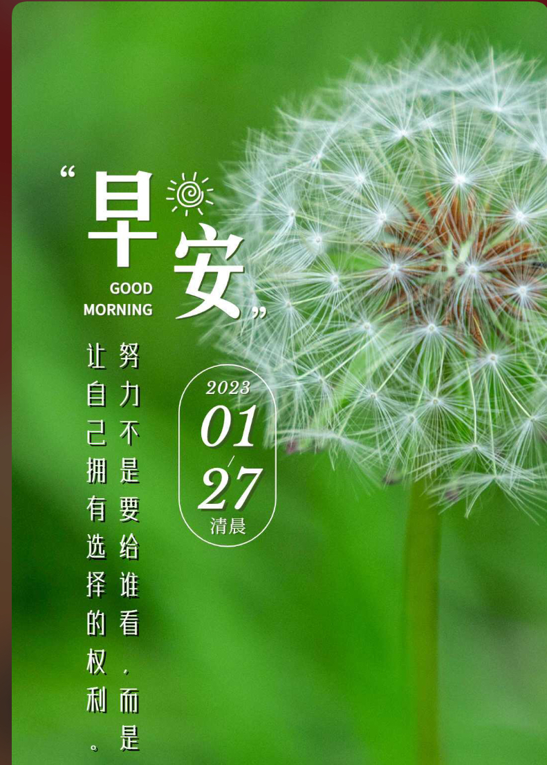 星空体育链接-宁夏队成绩平稳，需保持领先地位继续努力的简单介绍